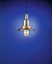 Hi-Lite MFG Co. H-1350-C-14-CLR - PENDANT COLLECTION