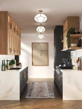 PROG_Latham_Kitchen_Galley_P350261-078_3D_appshot.jpg