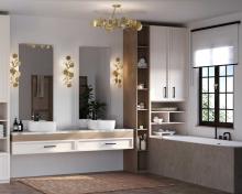 PROG_Laurel_Bathroom_Modern_P350263-176_P710123-176_3D_appshot.jpg