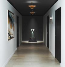 PROG_Pinellas_Hallway_Modern_01_Black_P710127-205_P350270-205_3D_appshot.jpg