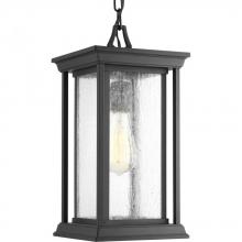 Progress P5500-31 - Endicott Collection One-Light Hanging Lantern