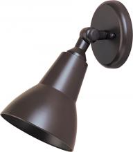 Outdoor Directional Lights