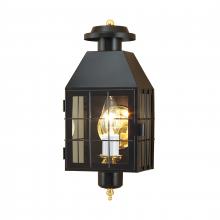 ELK Home 1059-BL-CL - American Heritage 16.5'' High 1-Light Outdoor Sconce - Black